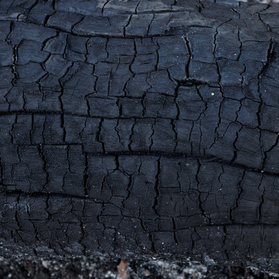 Surface Of Charcoal - Wrapped Canvas Print
