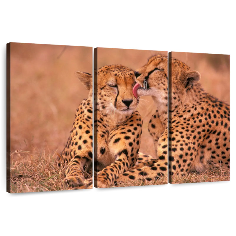 Brampt Sweet Loving Cheetahs, 20" H x 33" W