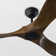 Elmhurst 52'' Ceiling Fan