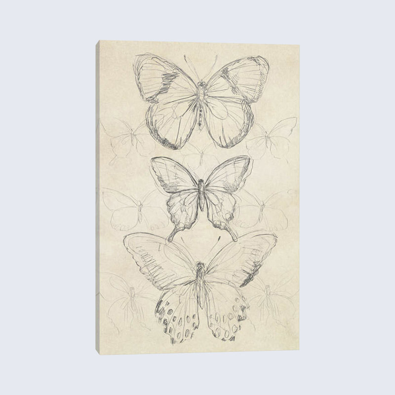 «Vintage Butterfly S croquis I», reproduction sur toile tendue, H 18 po x l 12 po x P 1,5 po, Toile tendue