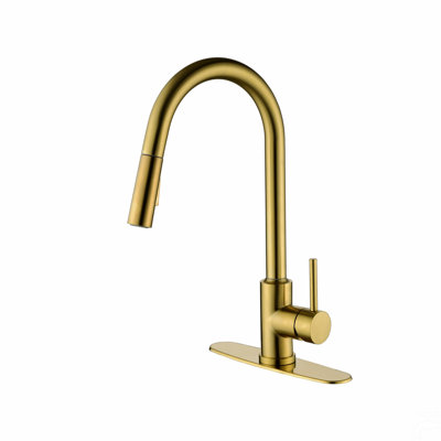 Kitchen Faucet With Pull Down Sprayer