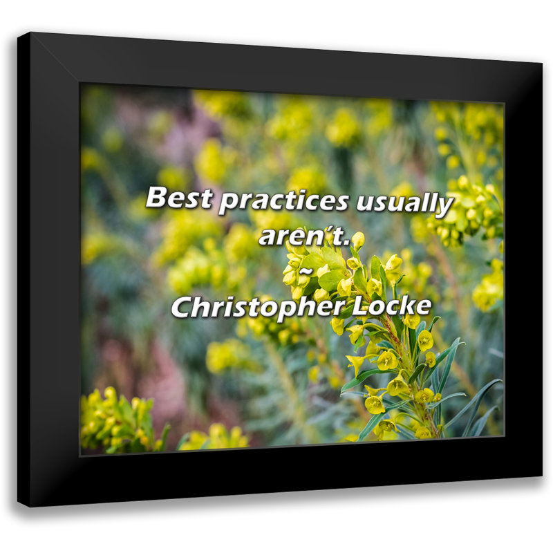 Christopher Locke Quote: Best practices usually aren’t.