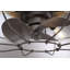 Ventilateur de plafond en cage à 3 pales 22 po avec ensemble d'éclairage inclus Evaro-1133173578
