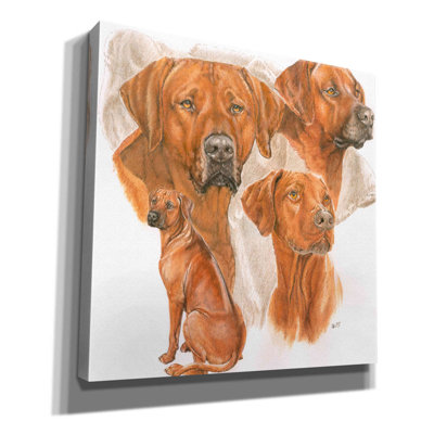 Epic Graffiti 'Rhodisian Ridgeback' By Barbara Kei " Rhodisian Ridgeback " by Barbara Keith Painting Print
