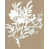 Couche de verre