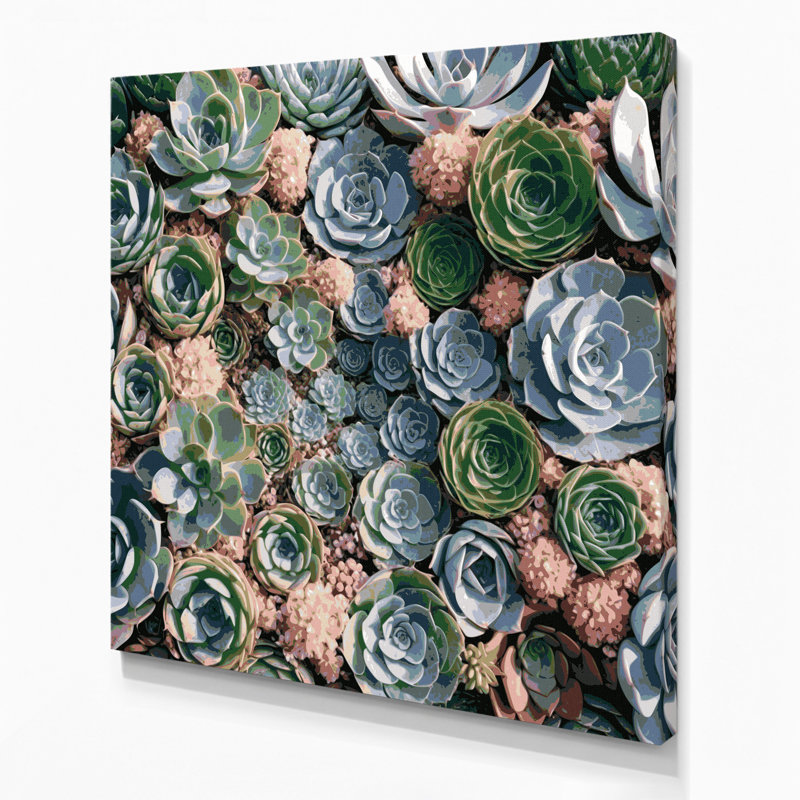 "Botanical Succulents", art mural sur toile grise, H 12 po x l 12 po