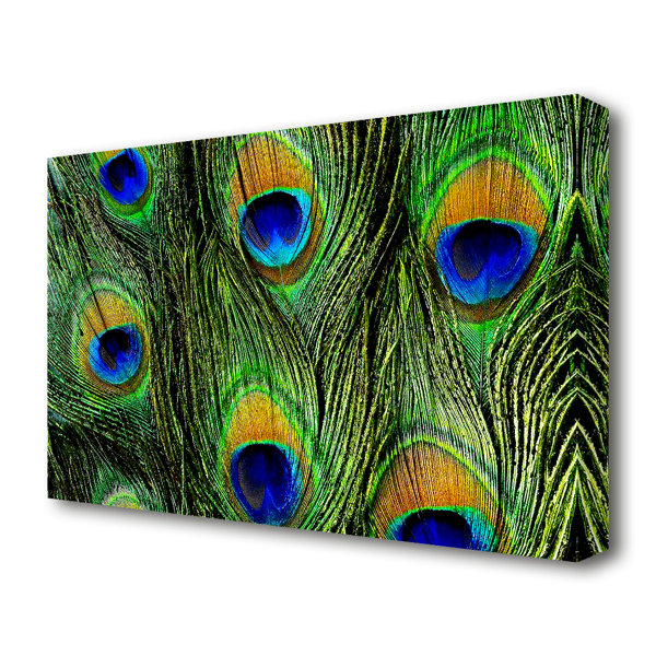 East Urban Home Peacock FeaThers - Wrapped Canvas Print | Wayfair.co.uk