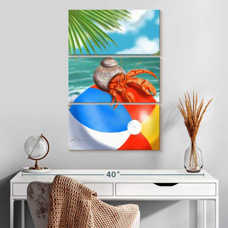 Bernard-l'hermite Brampt Beach Friends