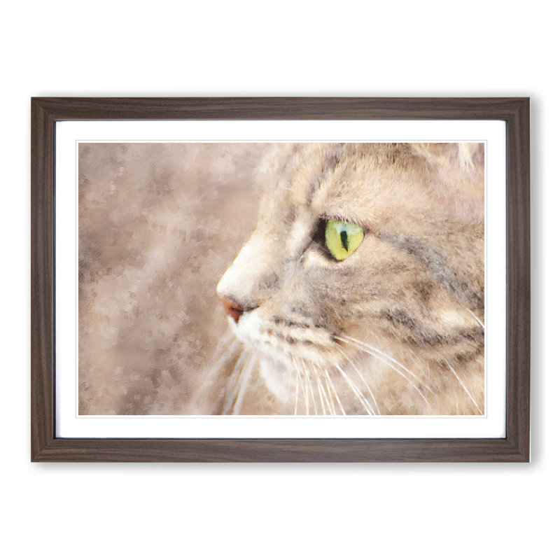 Portrait of a Cat Vol.13 - Picture Frame Painting, Walnut Framed, 36cm H x 48cm W x 2cm D