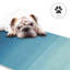 Tapis d'extérieur imperméable en plastique à paille Joena-624328055-666592650