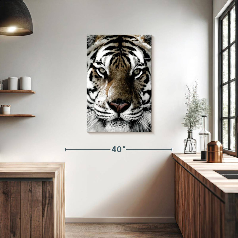 Brampt White Tiger Gaze, 36" H x 24" W
