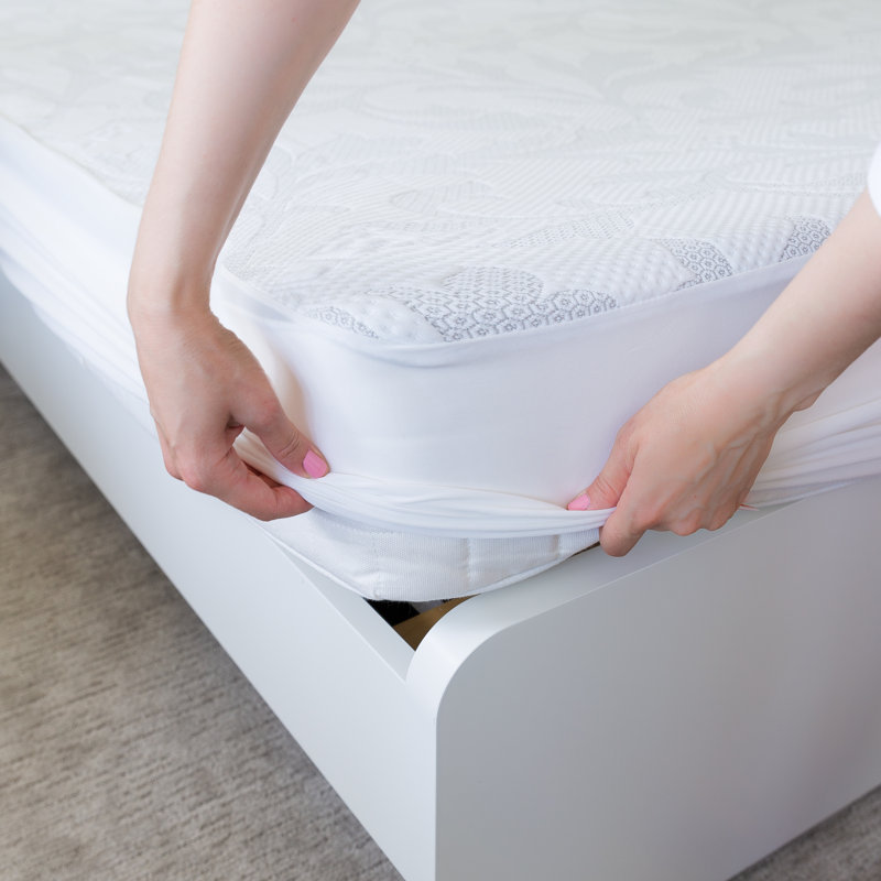 Protège-matelas ajusté et hypoallergénique Eddington, Simple
