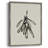 Mistletoe Sketch II Framed Print - Solid Wood-230631555