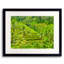 Landscape & Nature Print by Mark Paulda-71201494-132838056