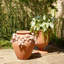 Villa Limone Urn-Terracotta