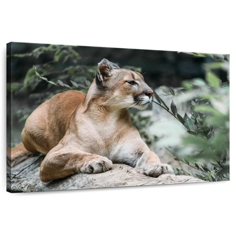 Brampt Forest Jaguar, 8" H x 12" W