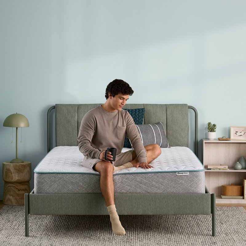 BeautySleep Slumber Time Firm 10" Foam Mattress in a Box, Queen