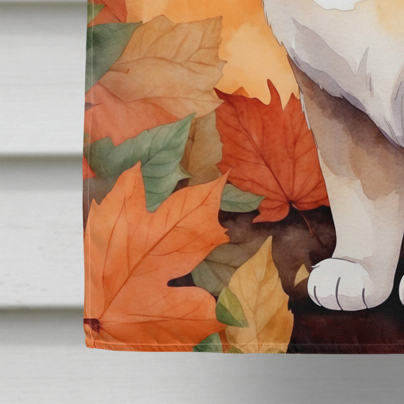 Chat en feuilles d'automne, Poil court exotique
