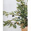 Faux Olive Tree Branch
