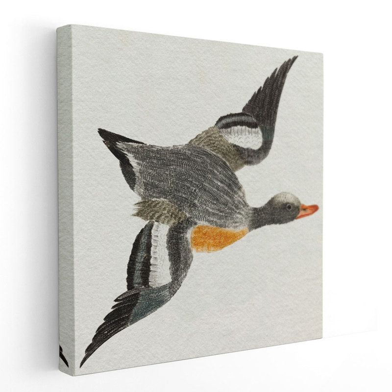 Flying Ducks I - reproduction d'art sur toile, H 20 po x l 20 po