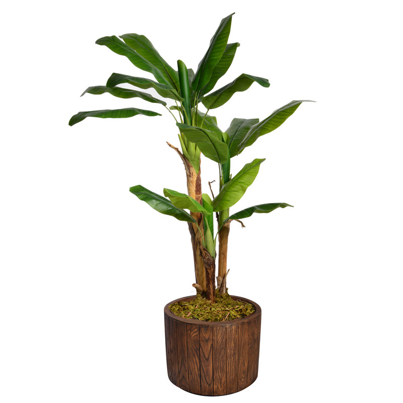 Bananier artificiel 60 po Panama