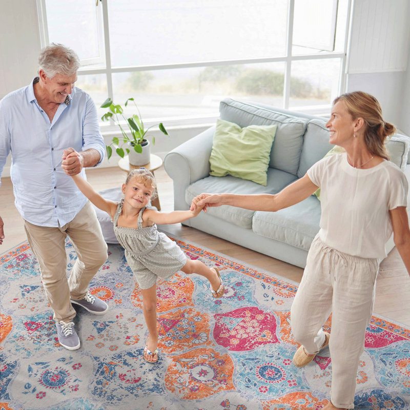 Washable Rug, Low-Pile, Non-Slip, Non-Shedding, Foldable, Kid & Pet Friendly - Area Rugs, Runner 2'6" x 10"