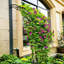 Treillis d'arche de jardin en métal noir pour soutenir les plantes grimpantes, 8 styles-355428296