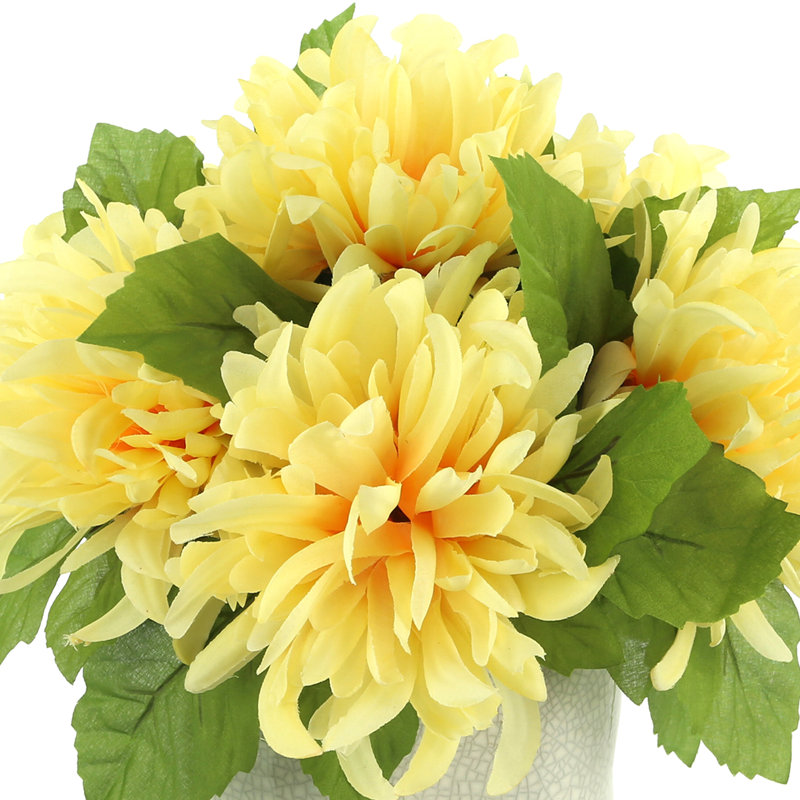Spider Mum Arrangement in Ceramic Pot, Yellow