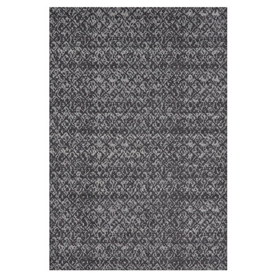 Malerie Ikat Indoor Rug