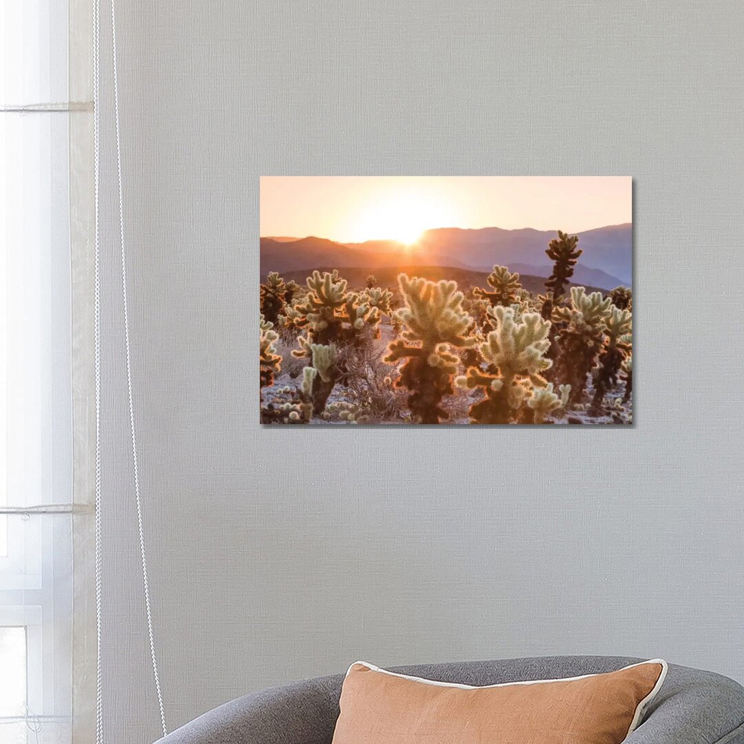 Leinwandbild Cactus Garden, Joshua Tree National Park, California, USA