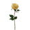 ROSE BUDSTEM