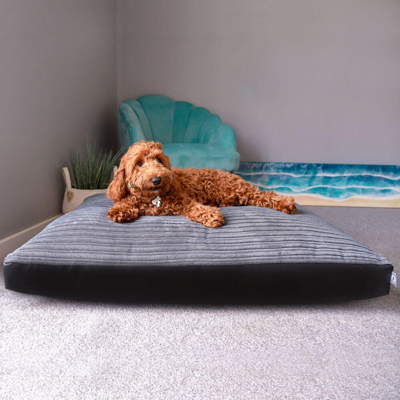 rucomfy Fibre-Filled Medium Dog Bed Mattress - Machine Washable Jumbo Cord with Reversible Water Resistant Base - 95 x 70 x 8cm