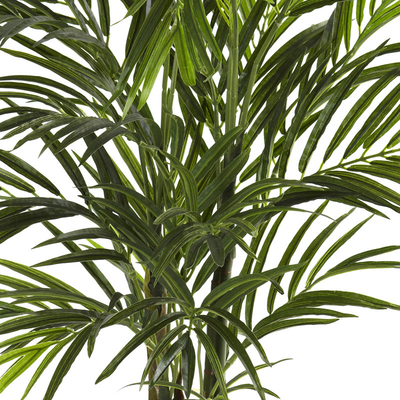 Areca Palm Tree in Pot, 30" H x 24" W x 24" D
