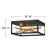 Styx 1 - Light 18" Unique Rectangle LED Flush Mount