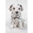 Dalmatian Puppy Statue