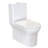 Burdon One-Piece Toilet Vortex Dual-Flush 1.1/1.6 gpf-63694527