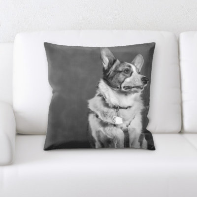 Coussin pour chien