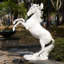 Rearing Horse Statue