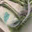 Photos des clients 1 de 1