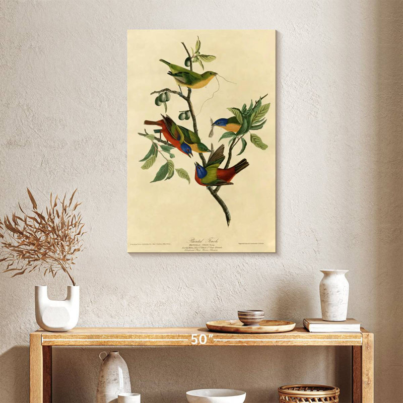 Brampt Painted Finch, 36" H x 24" W
