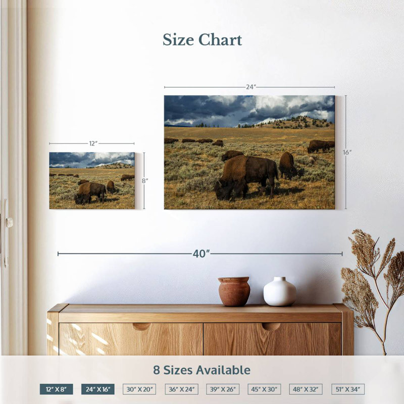 Bison Brampt Yellowstone, H 16 po x l 24 po