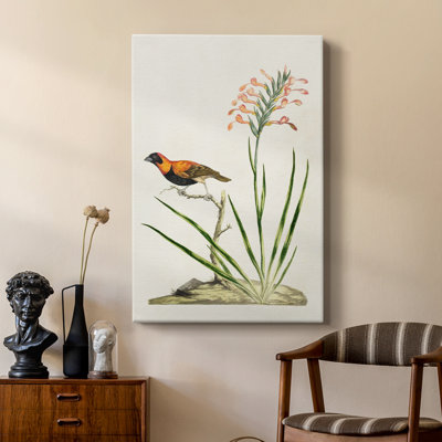 Bird in Habitat III - Gallery Cavas