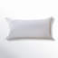 Oreiller très grand en polyester Wayfair Sleep-1390211850-1343429502