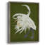 Heron Plumage II, reproduction encadrée - bois massif-964415236