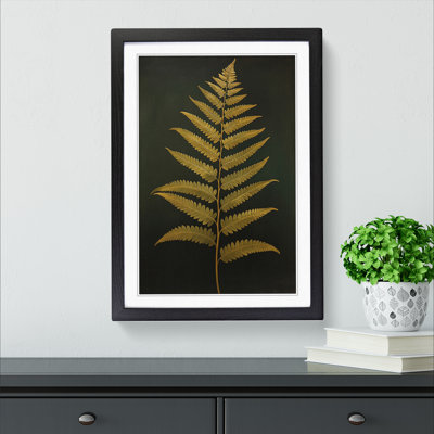 Fern Leaf Classicism Art - Framed Print