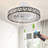Delena 20'' Ceiling Fan with LED Lights