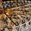Gala 28-Light Round LED Chandelier
