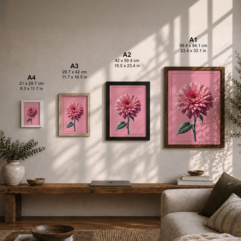 Pink Gerbera Bloom Botanical - Print, Oak, A4 - 29.7 x 21.0 cm