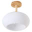 Glass Semi Flush Mount