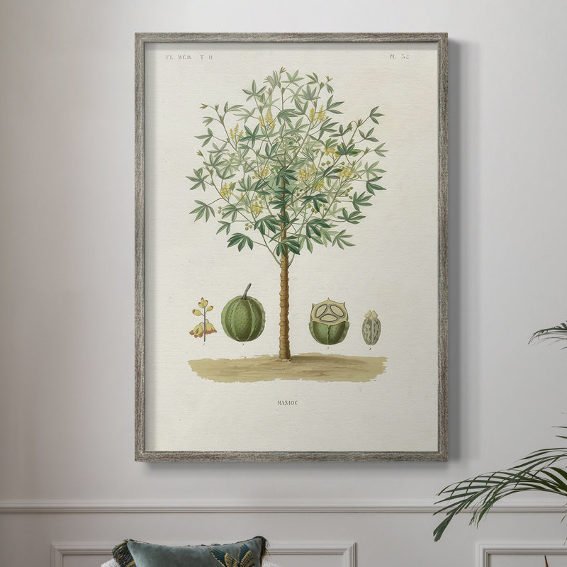 Arbre antique avec fruit, reproduction encadrée en bois massif, H 15 po x l 12 po